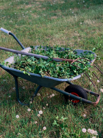 How to Make a Simple Homemade Weed Killer