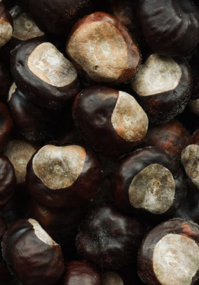This Common Food May Have Hidden Risks Many People Don’t Know About