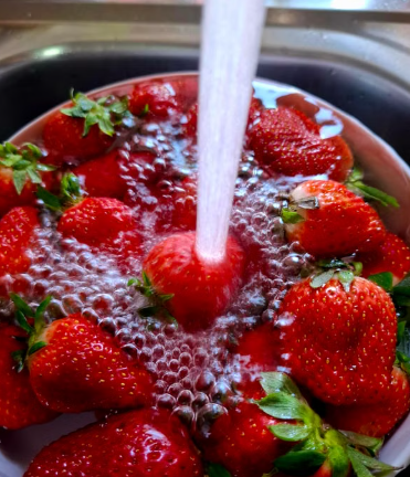 I Soaked My Berries in Salt Water: Here’s What I Found